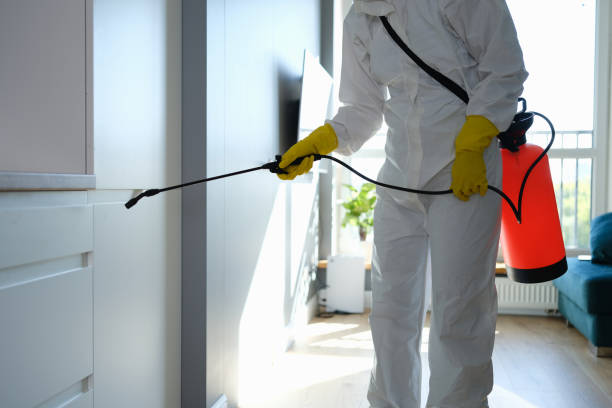 Best Commercial Mold Removal  in Waller, TX