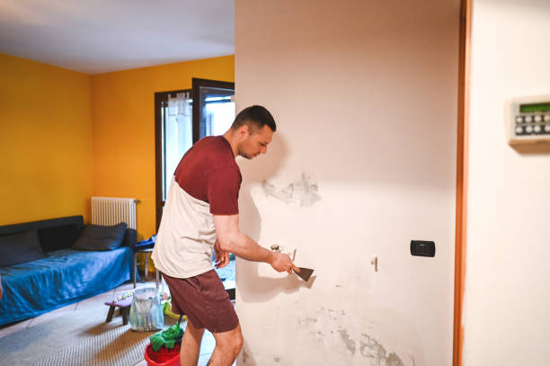 Best Same-Day Mold Removal  in Waller, TX
